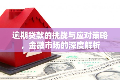 茂林逾期贷款的挑战与应对策略，金融市场的深度解析