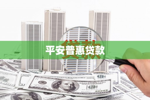 茂林平安普惠贷款