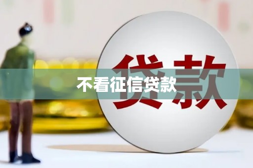 茂林不看征信贷款
