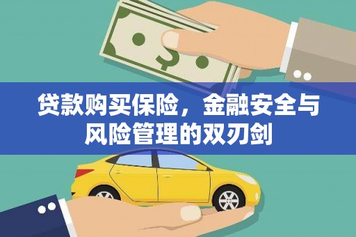 茂林贷款购买保险，金融安全与风险管理的双刃剑
