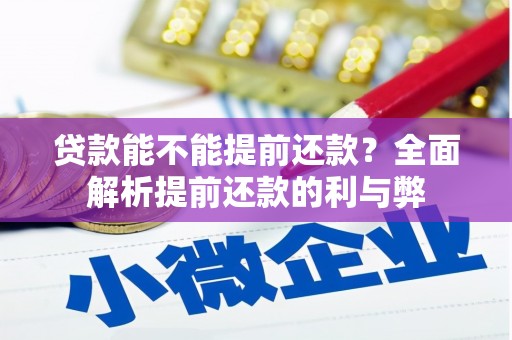 茂林贷款能不能提前还款？全面解析提前还款的利与弊