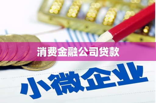 茂林消费金融公司贷款