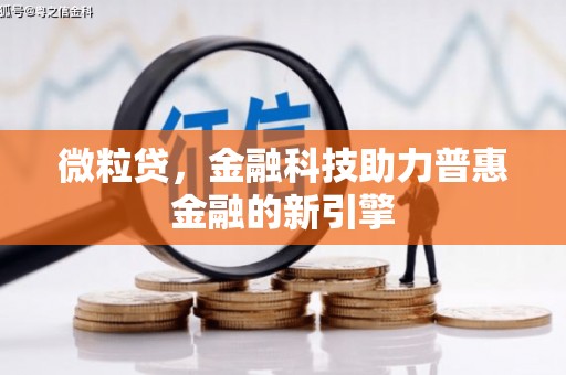 茂林微粒贷，金融科技助力普惠金融的新引擎