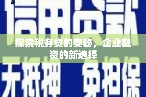 茂林探索税务贷的奥秘，企业融资的新选择