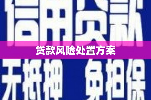 茂林贷款风险处置方案