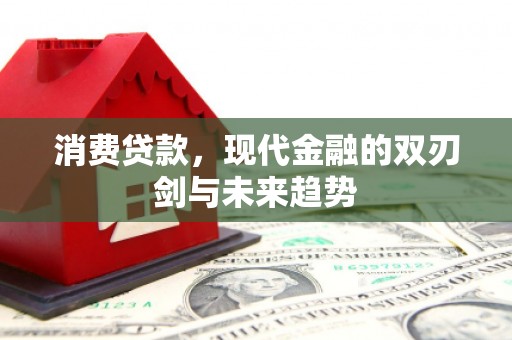 茂林消费贷款，现代金融的双刃剑与未来趋势
