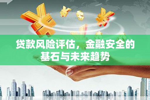 茂林贷款风险评估，金融安全的基石与未来趋势