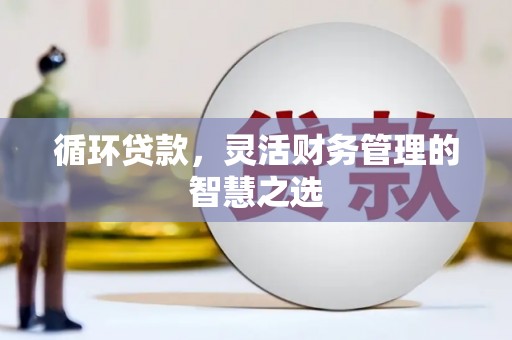 茂林循环贷款，灵活财务管理的智慧之选