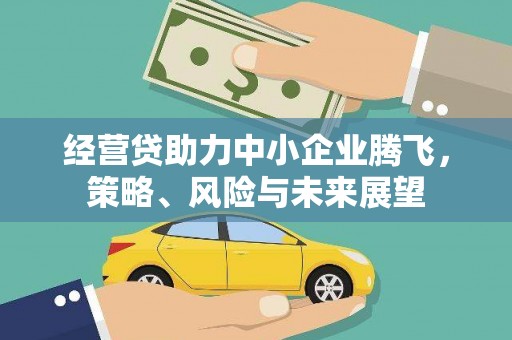 茂林经营贷助力中小企业腾飞，策略、风险与未来展望