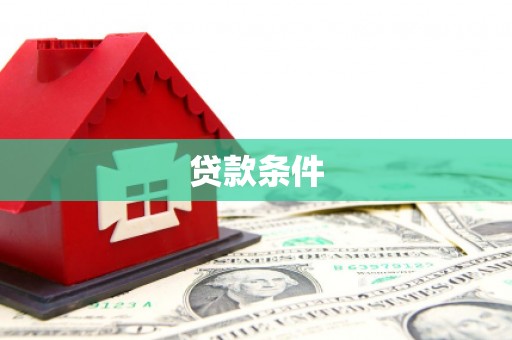 茂林贷款条件