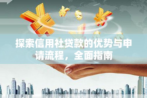 茂林探索信用社贷款的优势与申请流程，全面指南
