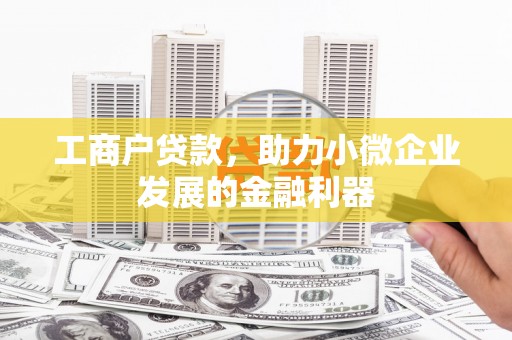 茂林工商户贷款，助力小微企业发展的金融利器