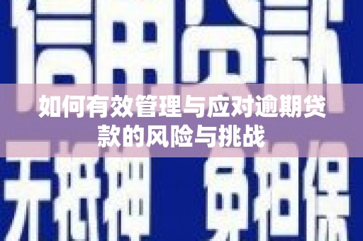 茂林如何有效管理与应对逾期贷款的风险与挑战