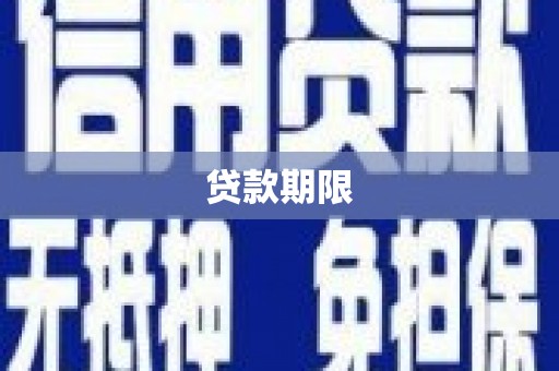 茂林贷款期限