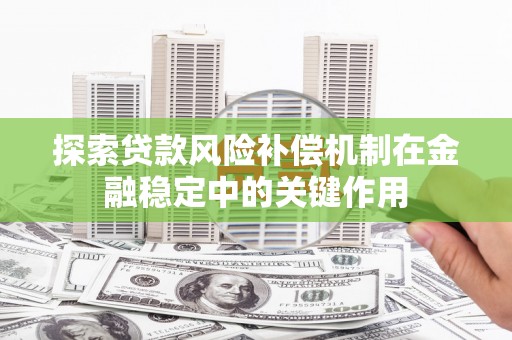 茂林探索贷款风险补偿机制在金融稳定中的关键作用