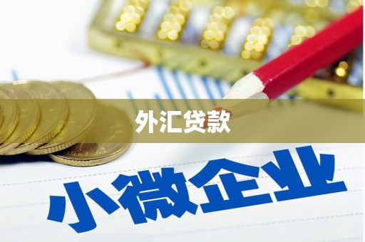茂林外汇贷款