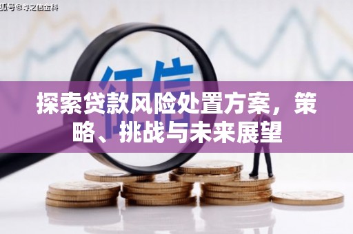 茂林探索贷款风险处置方案，策略、挑战与未来展望