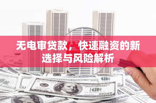 茂林无电审贷款，快速融资的新选择与风险解析