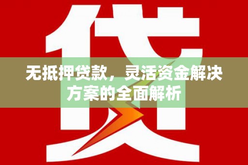茂林无抵押贷款，灵活资金解决方案的全面解析