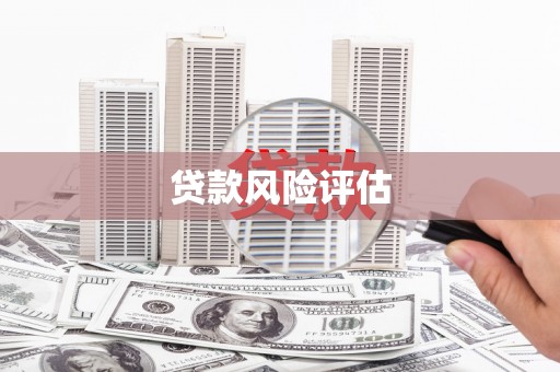 茂林贷款风险评估