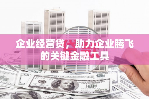 茂林企业经营贷，助力企业腾飞的关键金融工具