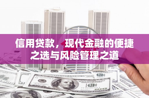 茂林信用贷款，现代金融的便捷之选与风险管理之道