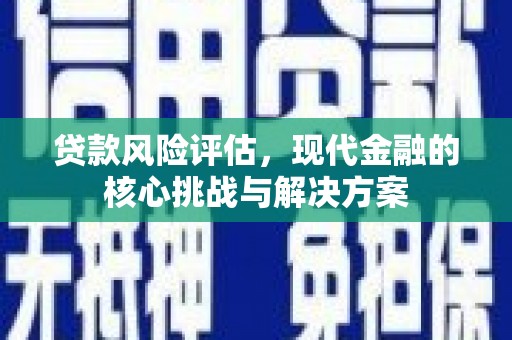 茂林贷款风险评估，现代金融的核心挑战与解决方案