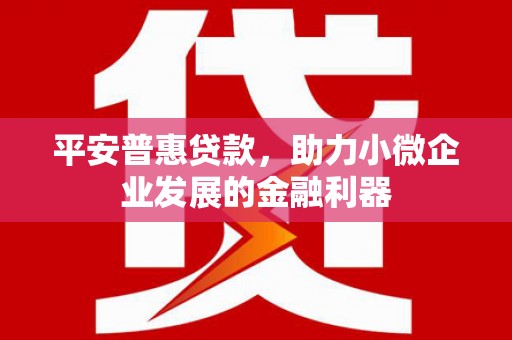 茂林平安普惠贷款，助力小微企业发展的金融利器