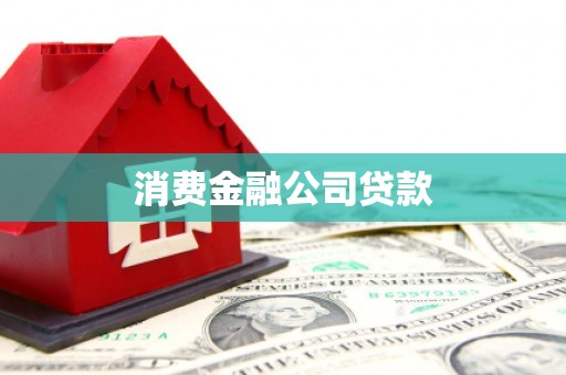 茂林消费金融公司贷款