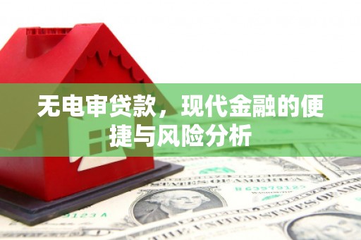 茂林无电审贷款，现代金融的便捷与风险分析