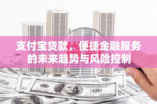 茂林支付宝贷款，便捷金融服务的未来趋势与风险控制
