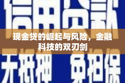 茂林现金贷的崛起与风险，金融科技的双刃剑