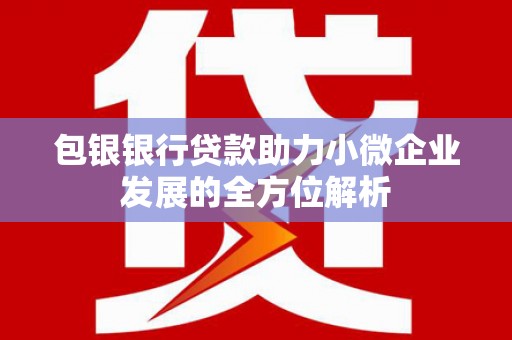茂林包银银行贷款助力小微企业发展的全方位解析 茂林包银银行贷款助力小微企业发展的全方位解析