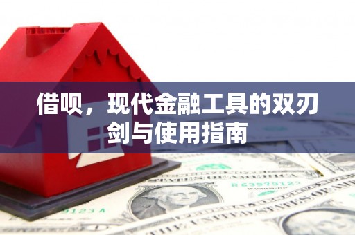 茂林借呗，现代金融工具的双刃剑与使用指南
