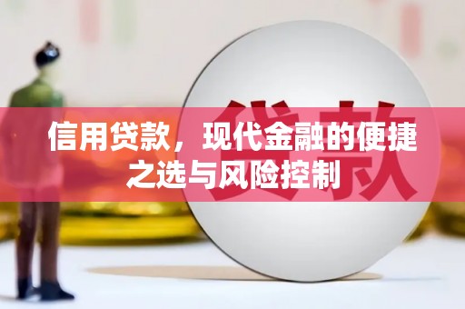茂林信用贷款，现代金融的便捷之选与风险控制