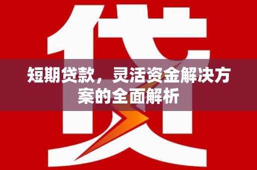 茂林短期贷款，灵活资金解决方案的全面解析