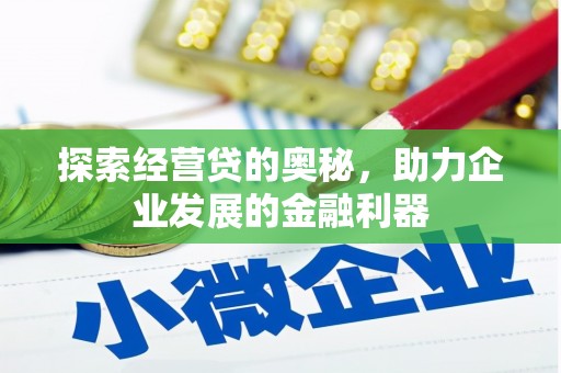 茂林探索经营贷的奥秘，助力企业发展的金融利器