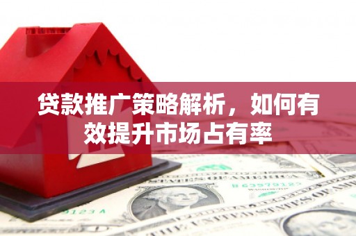 茂林贷款推广策略解析，如何有效提升市场占有率