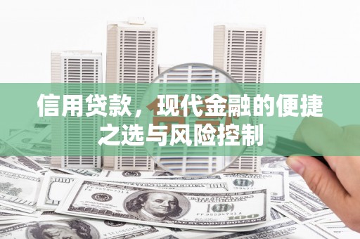 茂林信用贷款，现代金融的便捷之选与风险控制