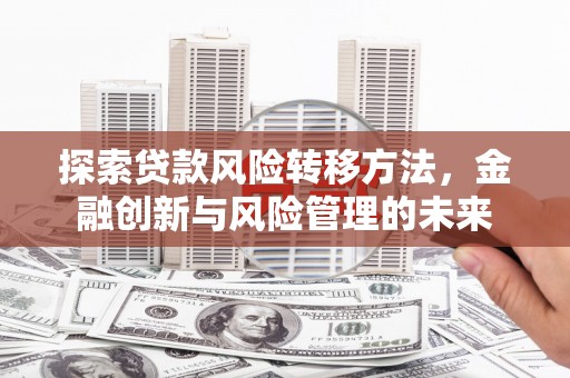 茂林探索贷款风险转移方法，金融创新与风险管理的未来