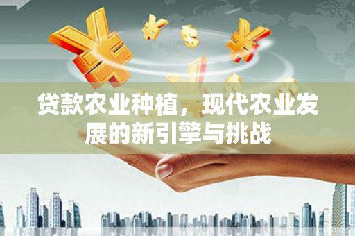茂林贷款农业种植，现代农业发展的新引擎与挑战