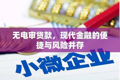 茂林无电审贷款，现代金融的便捷与风险并存