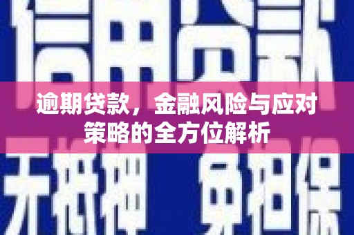 茂林逾期贷款，金融风险与应对策略的全方位解析