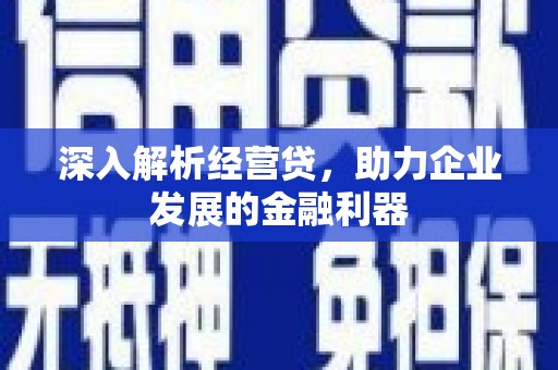 茂林深入解析经营贷，助力企业发展的金融利器