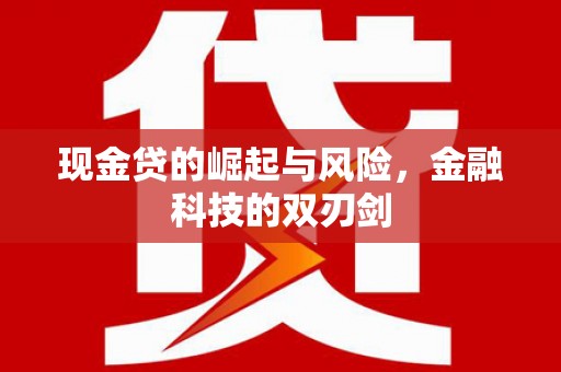 茂林现金贷的崛起与风险，金融科技的双刃剑