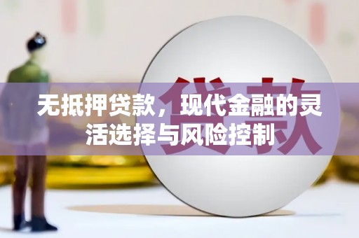 茂林无抵押贷款，现代金融的灵活选择与风险控制