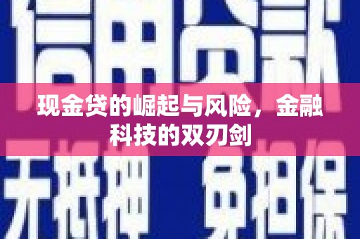 茂林现金贷的崛起与风险，金融科技的双刃剑