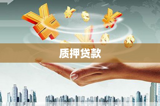 茂林质押贷款