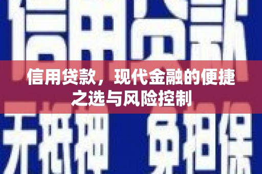 茂林信用贷款，现代金融的便捷之选与风险控制