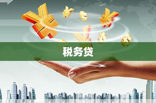 茂林税务贷